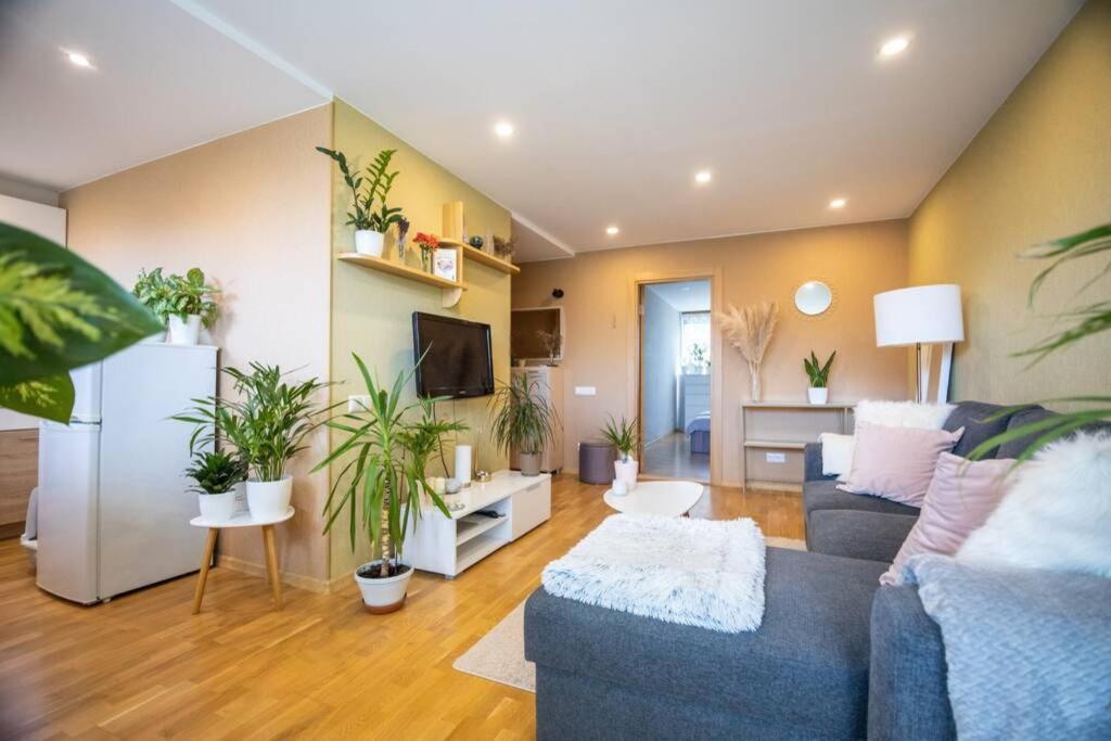 Beautiful & Spacious Apartment In Valmiera Exterior photo
